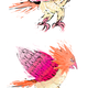 Illustration for article titled Spearow! Pokemon One a Day! *Updated*